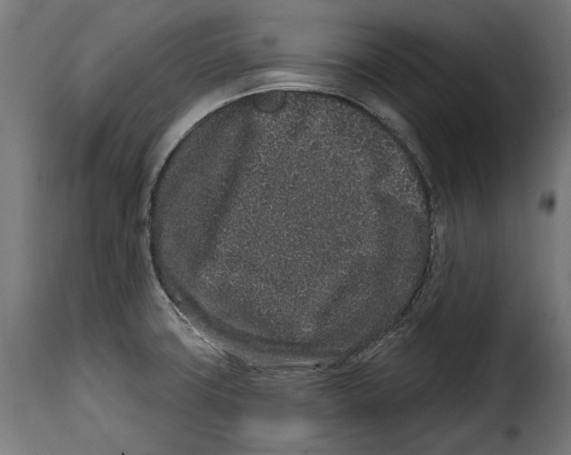 X0000114991427200911231131