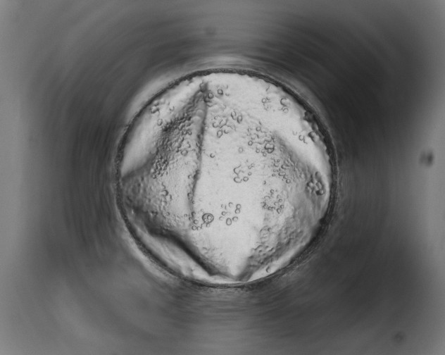 X0000114991429200911231131