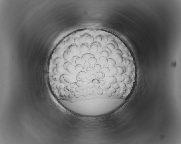 X0000114991432200911231131