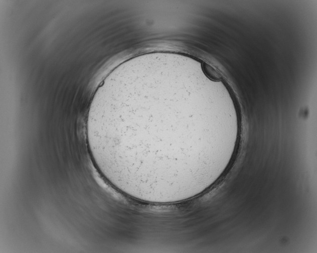 X0000114991433200911231131