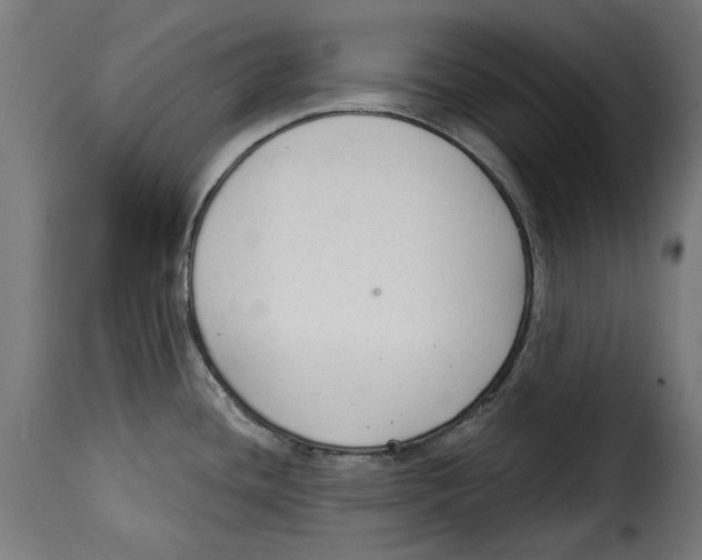 X0000114991436200911231131