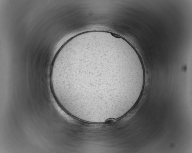 X0000114991438200911231131