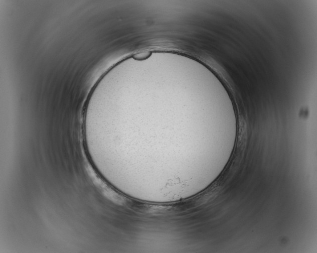 X0000114991439200911231132