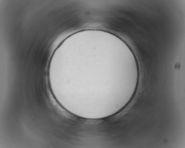 X0000114991440200911231132