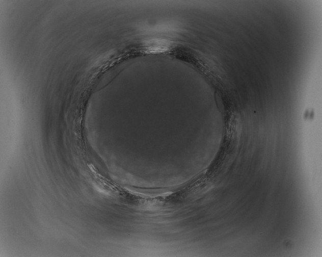 X0000114991441200911231131