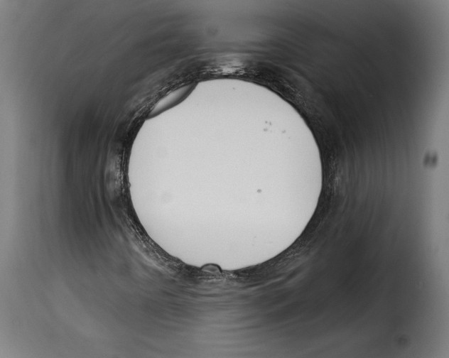 X0000114991442200911231131