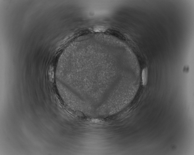 X0000114991443200911231131