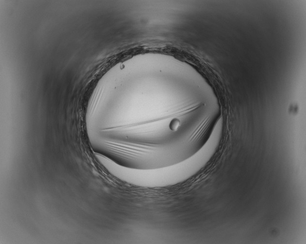 X0000114991445200911231131