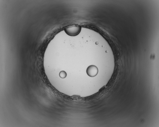 X0000114991447200911231131