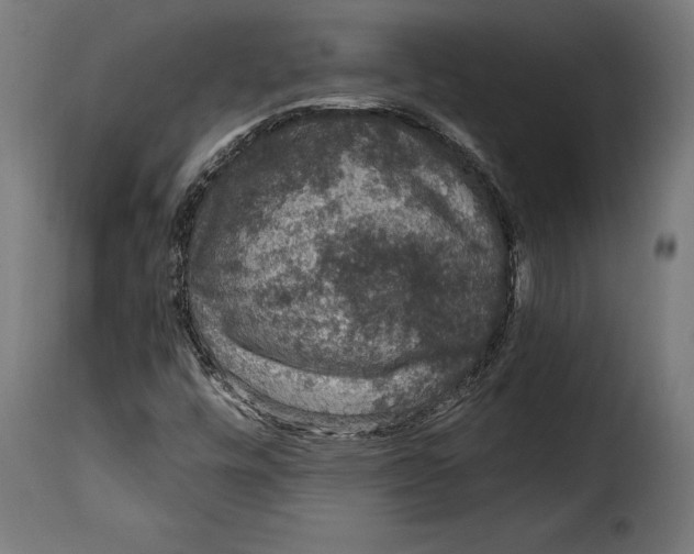 X0000114991448200911231131