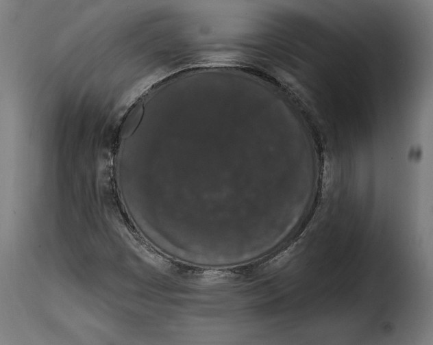 X0000114991449200911231131