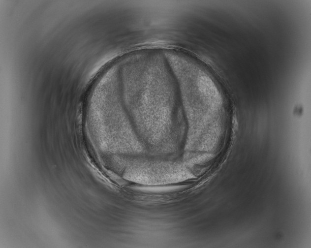 X0000114991450200911231131