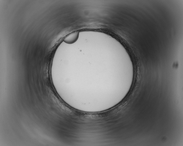 X0000114991451200911231131