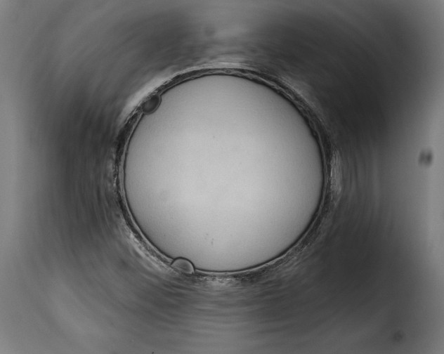 X0000114991452200911231131