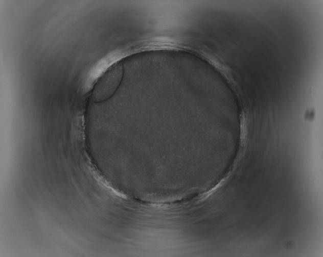 X0000114991453200911231131