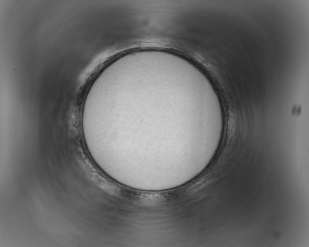 X0000114991454200911231131