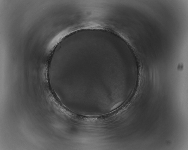 X0000114991455200911231131