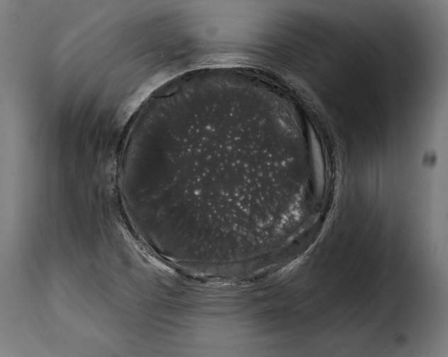 X0000114991457200911231130