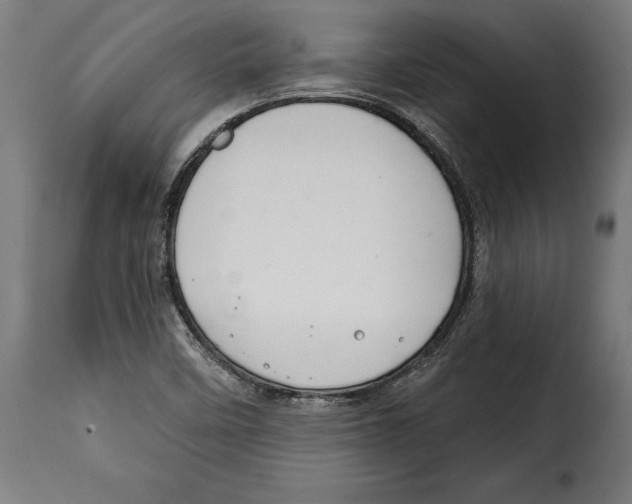 X0000114991458200911231130