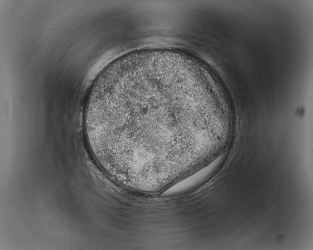 X0000114991459200911231130