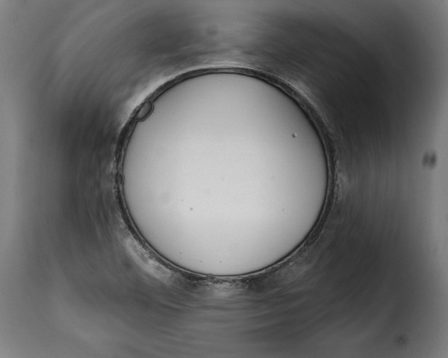 X0000114991460200911231130