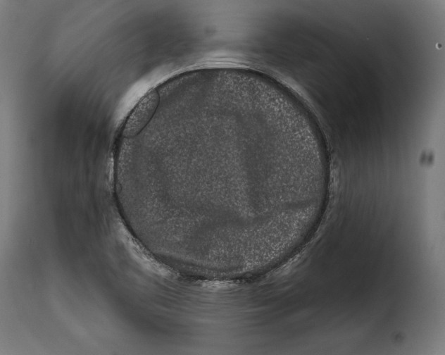 X0000114991461200911231130