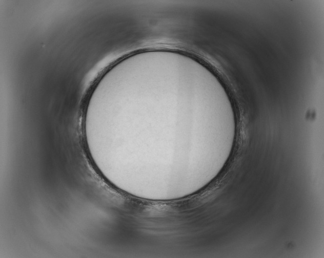 X0000114991462200911231130