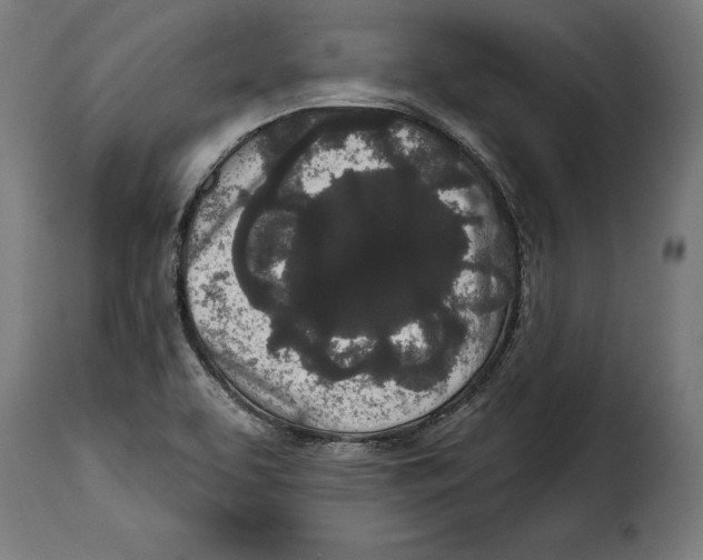 X0000114991463200911231130