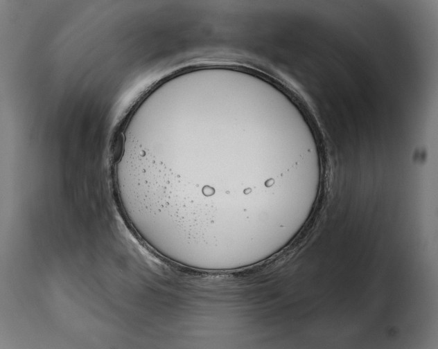 X0000114991464200911231130