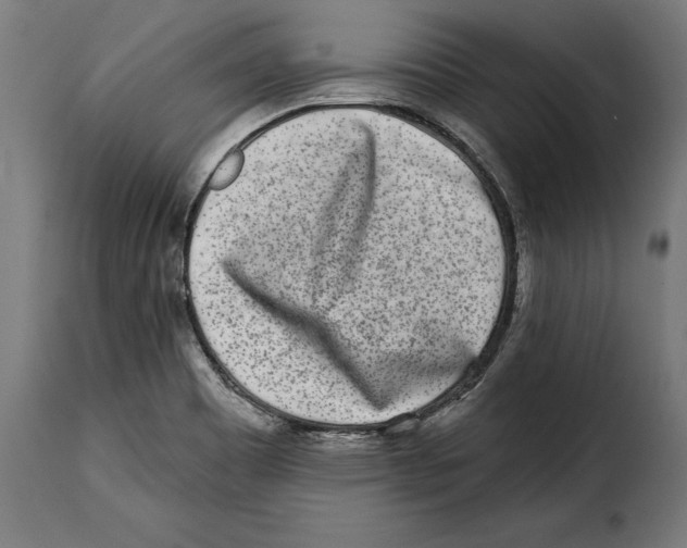 X0000114991465200911231130