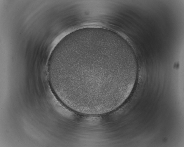 X0000114991466200911231130