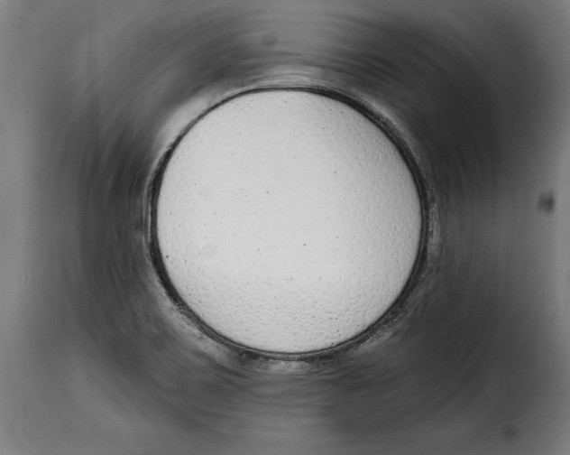 X0000114991467200911231130