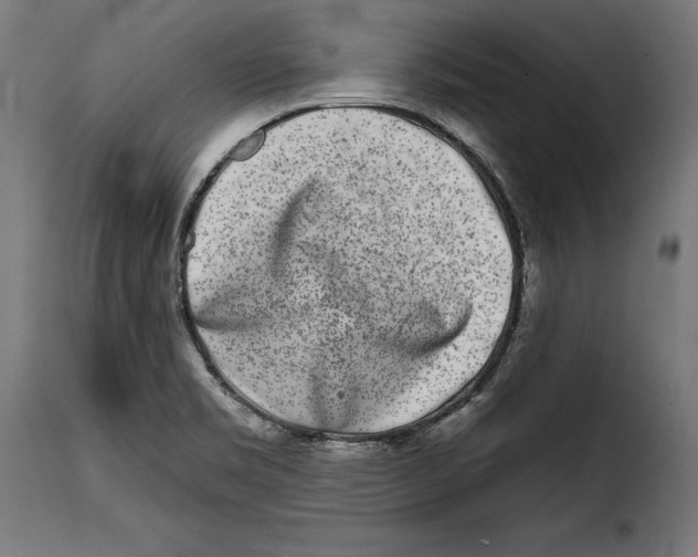 X0000114991469200911231130