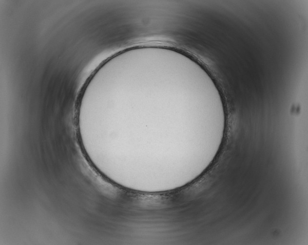 X0000114991470200911231130