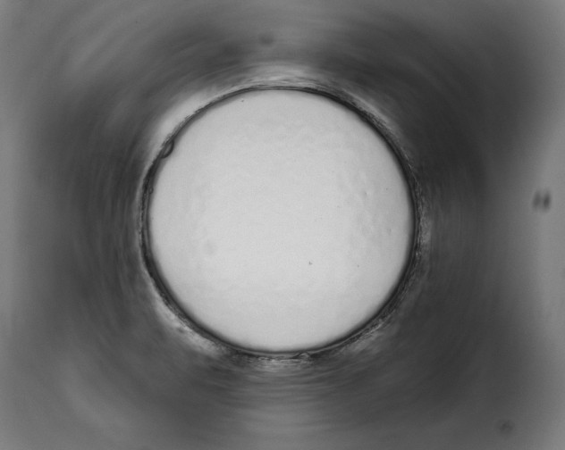 X0000114991471200911231130