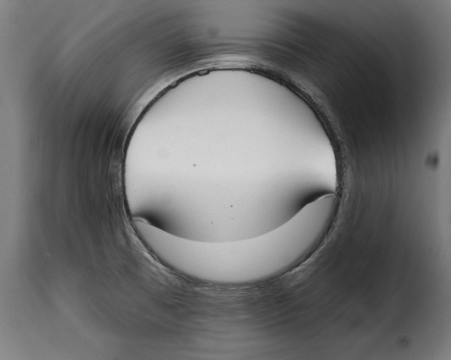 X0000114991473200911231130