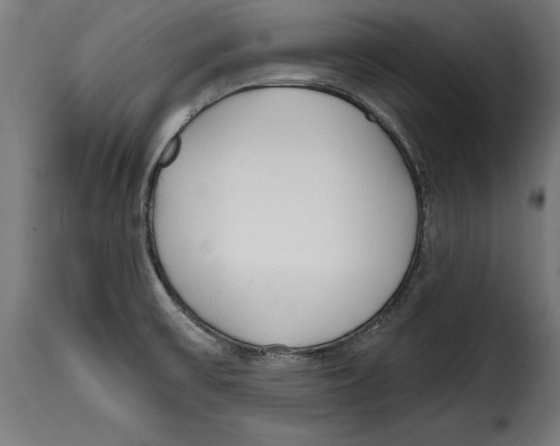 X0000114991475200911231130