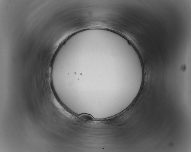 X0000114991476200911231130