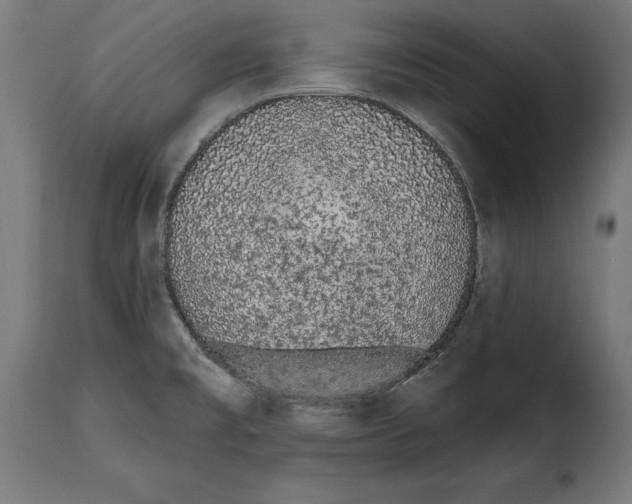 X0000114991477200911231130