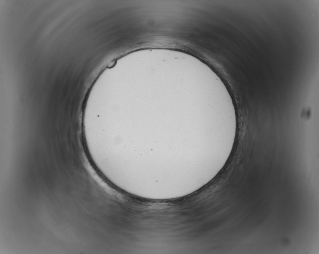 X0000114991479200911231130