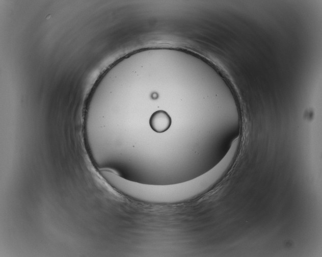 X0000114991480200911231130