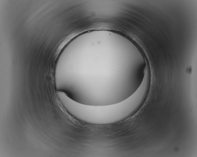 X0000114991481200911231130