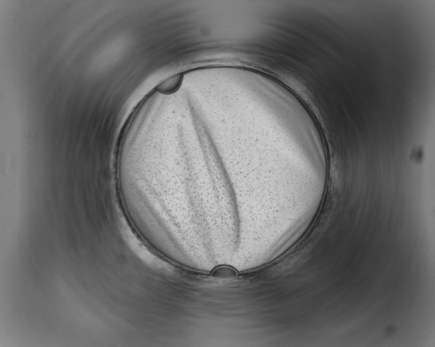 X0000114991482200911231130