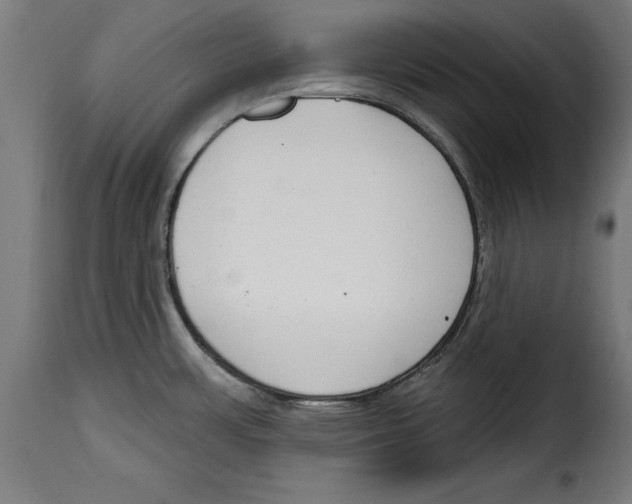 X0000114991483200911231130