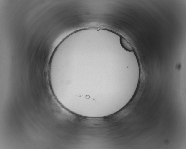 X0000114991486200911231130