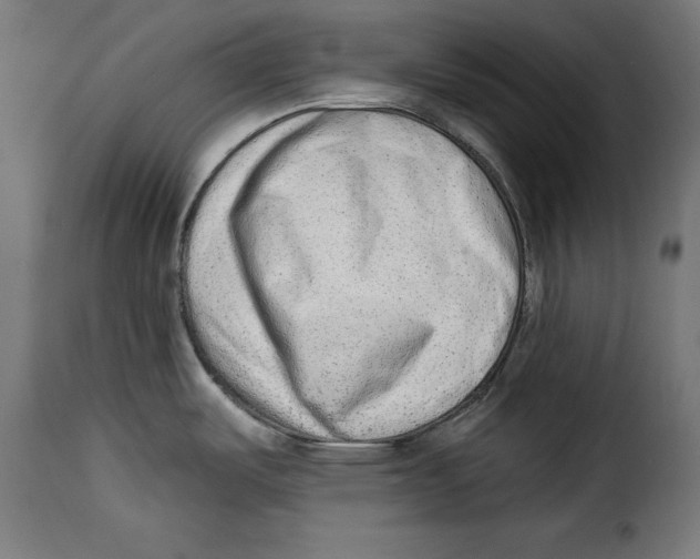 X0000114991487200911231130