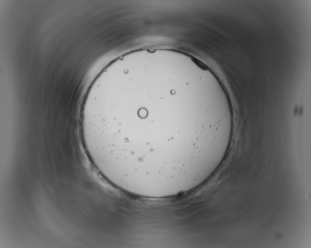 X0000114991488200911231130