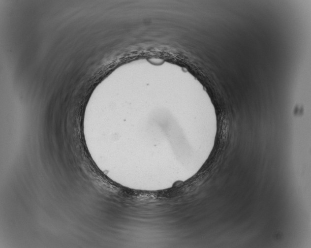 X0000114991489200911231129