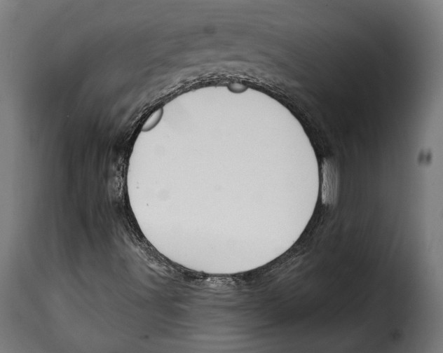 X0000114991491200911231129