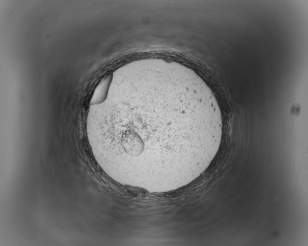 X0000114991493200911231129